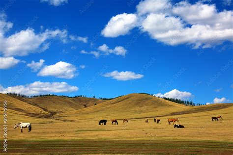 The Eastern Mongolian Steppes Are Home To The Largest Remaining Intact