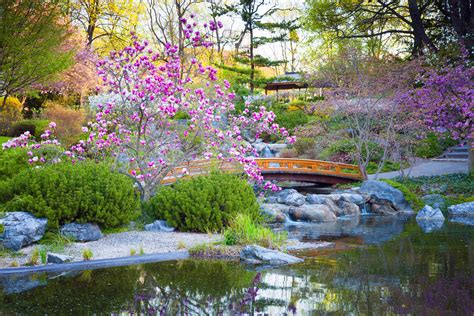 Japanese traditional gardens and courtyard. Japanese garden - Ideals and aims of garden design ...