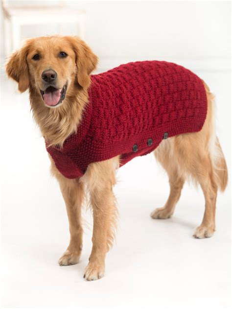 Clifford Dog Sweater Knit Lion Brand Yarn