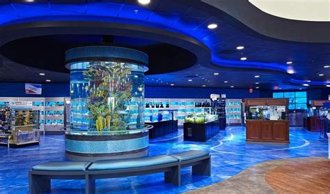 Cool Aquarium Pet Store Interior Design Store Design Interior