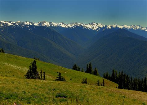 Hurricane Ridge Olympic Penninsula Wa July 2010 Photo John Gatlin