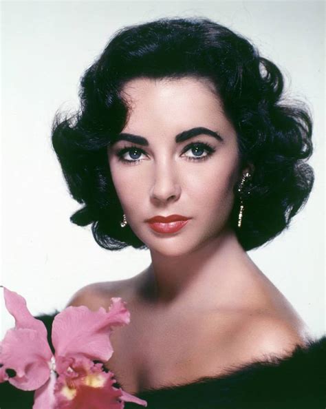 We did not find results for: Elizabeth Taylor: The Last Time I Saw Paris - photo gallery