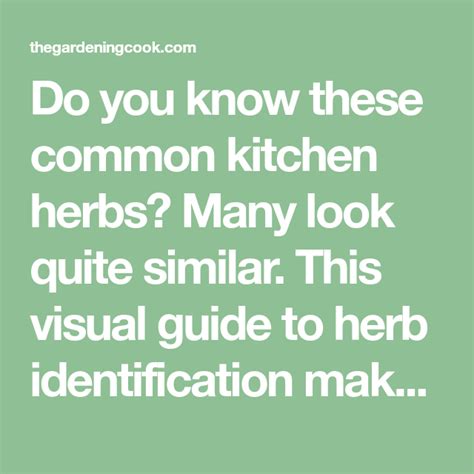 Herb Identification Identifying Fresh Herbs Free Gardening