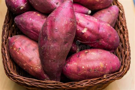Sweet Potato In The Basket Stock Image Image Of Purple 123050509