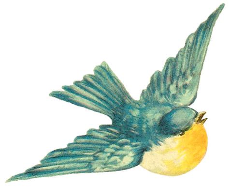 Antique Images Free Bird Clip Art Vintage Bird Illustration Of Blue