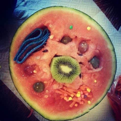 Edible animal cell project recipes. Edible animal cell for elementary science project | Feira ...