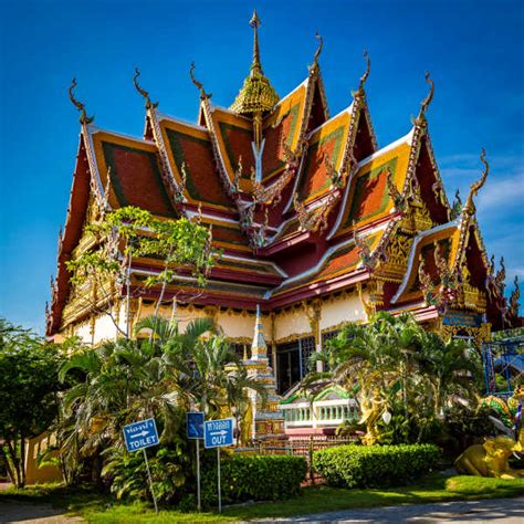 There are currently restrictions on flights to koh samui along with the rest of thailand. Cheap Flights To Koh Samui : Compare All Fares ...