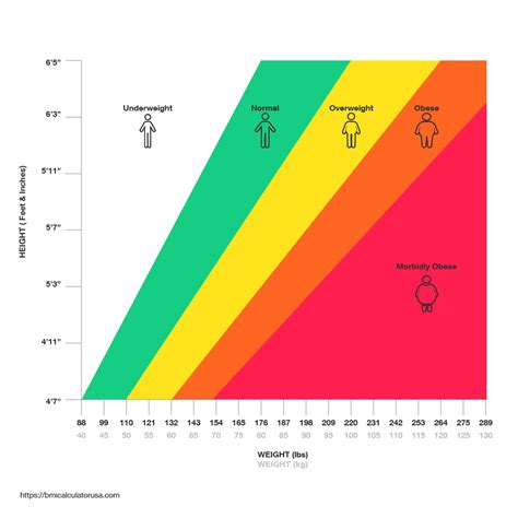 Bmi Calculator For Adults Sunipod