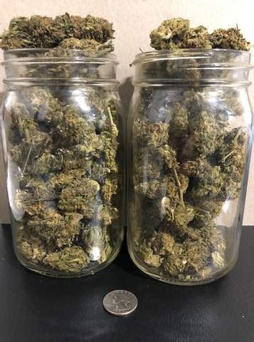 So, 8 ounces times 28.349523125 is equal to 226.8 g. How much is 3.5 grams of weed? - Plain Jane CBD