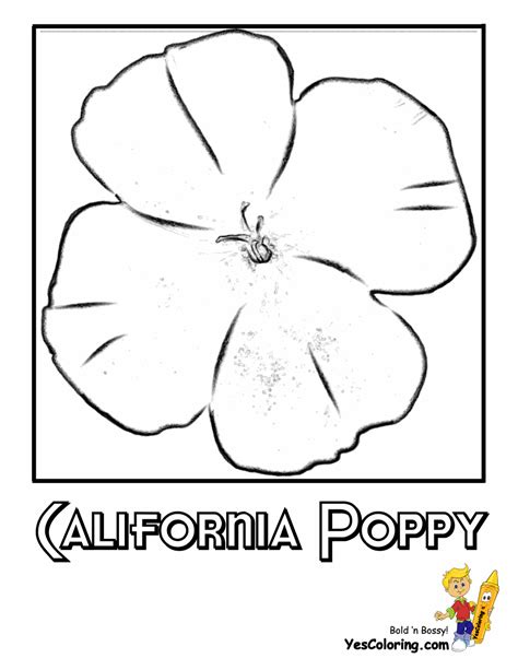 We hope you liked our free printable puppies coloring pages as much as you love puppies. Magnificent States Flower Coloring Sheets |A-G Alabama ...
