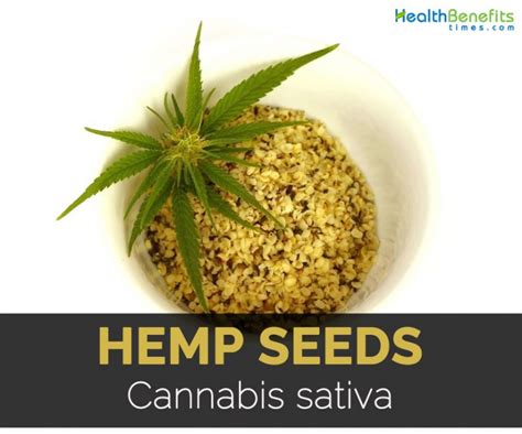 Hemp Seeds Facts Health Benefits And Nutritional Value