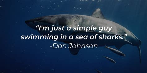 51 Shark Quotes To Keep You On Your A Game
