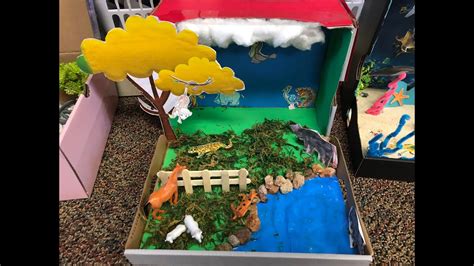 2nd Grade Science Diorama Project Habitat Of Animals Youtube