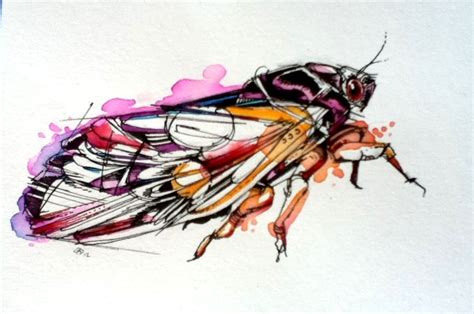 Periodical Cicada By FinchFight On DeviantArt Cicada Art Cicada Tattoo Natural Form Art