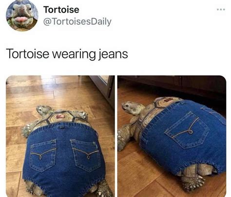 The Best Jeans Memes Memedroid