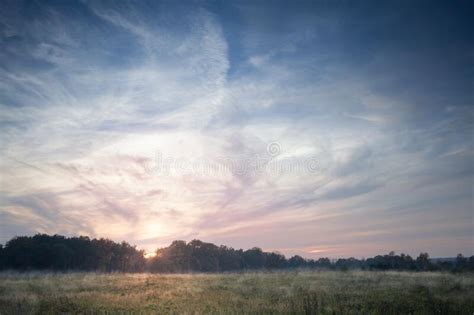 Forest Fog And Colorful Sunset Sky Stock Image Image Of Blue Nature
