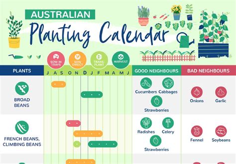 How To Grow Your Own Food In 2021 The Ultimate Planting Calendar The