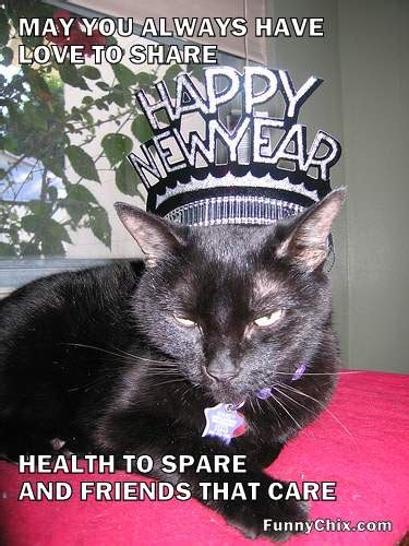 We are sharing the best collection of happy new year pictures 2019 with beautiful hd images for facebook, twitter, instagram, and pinterest. Funny Pictures of Happy New Year with Cats, Christmas ...