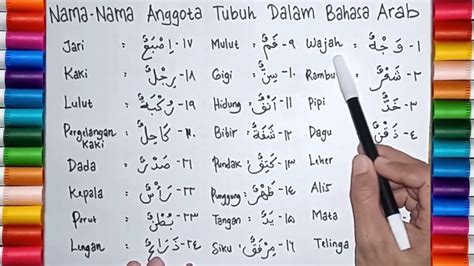 Nama Nama Anggota Tubuh Manusia Dalam Bahasa Arab Names Of Human