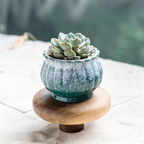 Small Ceramic Succulent Planter With Drainage Hole Succulent Etsy
