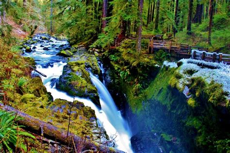 Sol Duc Waterfall Olympic National Park Washington Washington State