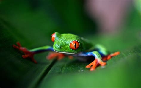 Search, discover and share your favorite full hd nature gifs. Biodiversity: Species count, whether or not there is ...