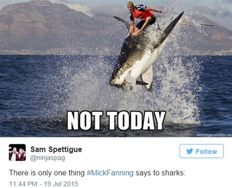 Mick Fanning Shark Attack Memes