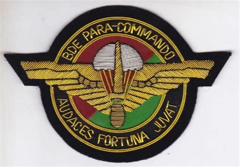 Org Patch Brigade Para Commando Belgium Belgica Fuerza