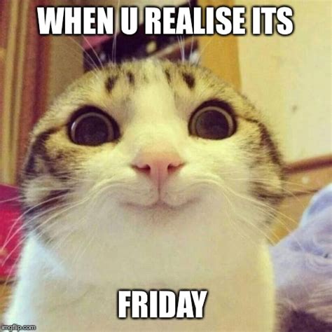Smiling Cat Meme Imgflip