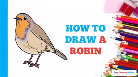 How To Draw A Robin In A Few Easy Steps Drawing Tutorial For Beginner