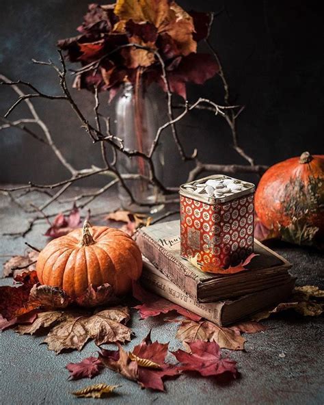 🌿 Witchy Autumns 🌙 Gildedautumnvelvet By Fonwaldworkshop Autumn