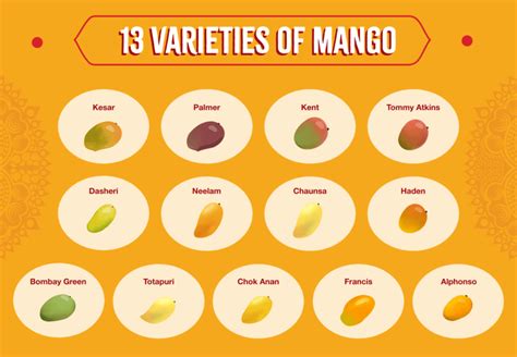 the king of fruit 13 mouthwatering mango varieties sukhi s