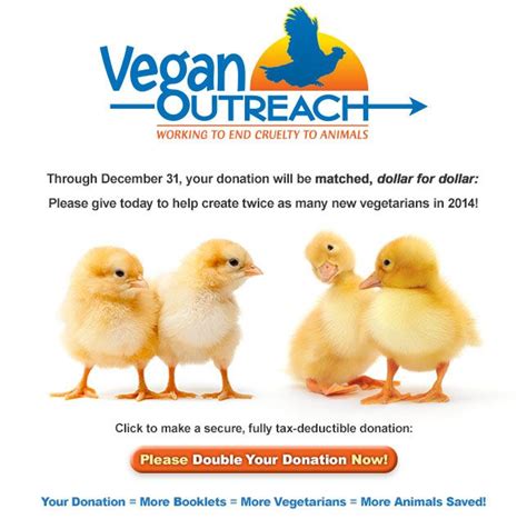 Vegan Outreach | Working to End Cruelty to Animals | Outreach, Animals