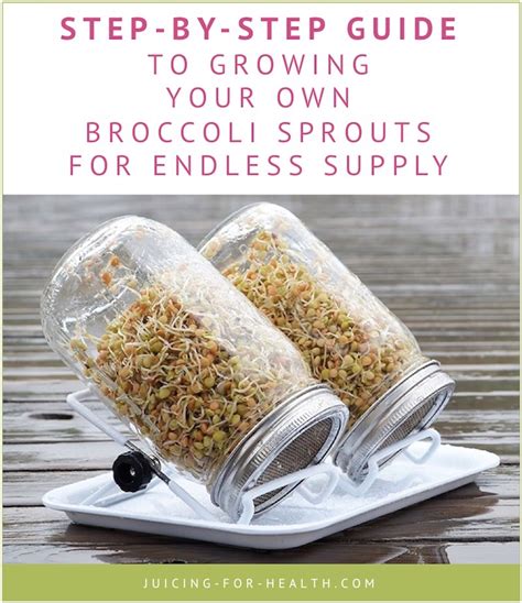 How To Make Broccoli Sprouts In A Jar Amazon Com Complete Mason Jar