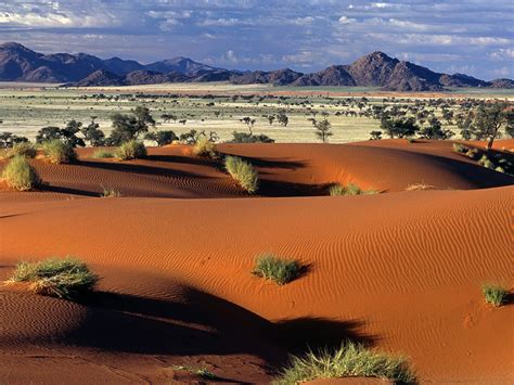 View Tok Tokkie Trail Camp Namibrand Reserve Namib Desert Nami In