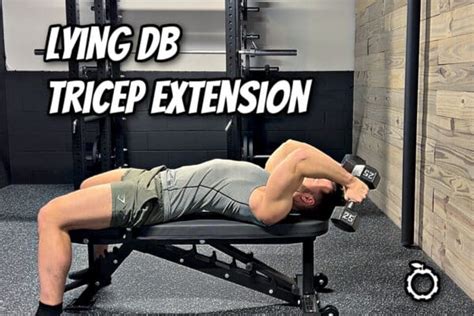 Lying Dumbbell Tricep Extension Benefits And Form Tips Nutritioneering