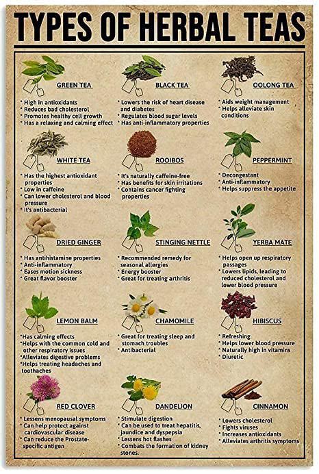 Teas And Their Benefits Uses Coolguides
