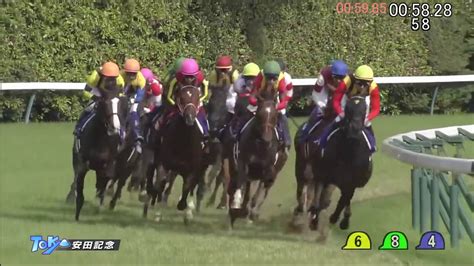 選択してください 北海道 青森県 岩手県 宮城県 秋田県 山形県 福島県 茨城県 栃木県 群馬県 埼玉県. 安田記念2016 ロゴタイプ （タイムコード・ヴァーチャルライン ...