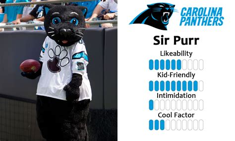 Carolina Panthers Mascot Sir Purr Gets Ranked 16th Best In Nfl