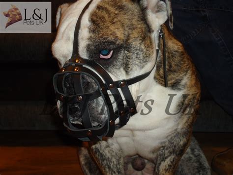 Landj Pets Uk Light Leather Dog Muzzle For English Bulldog And Other Dogs