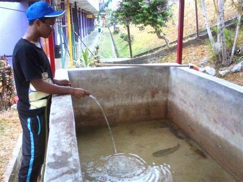 Penternak jaya 2010 air tawar en mazlan bin yussof terengganu. Majlis Perwakilan Asrama SMKDDS: Projek Ternakan Ikan Air ...