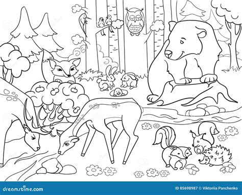 Woodland Animals Cartoon Coloring Pages Coloring Pages