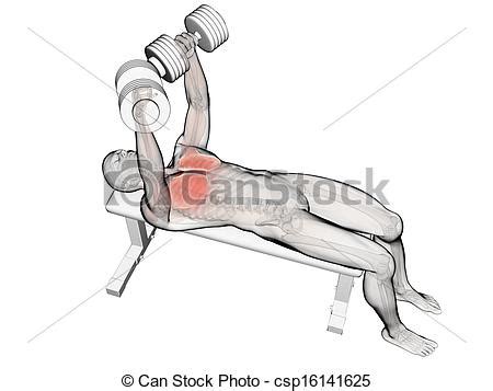 Create digital artwork to share online and export to popular image formats jpeg, png, svg, and pdf. Bench press workout. 3d rendered illustration of a bench ...