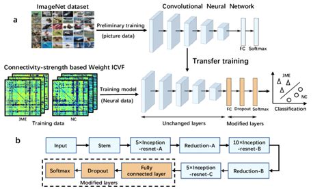 Schematic Diagram Of Training Our Cnn A Transfer Learning Process Download Scientific
