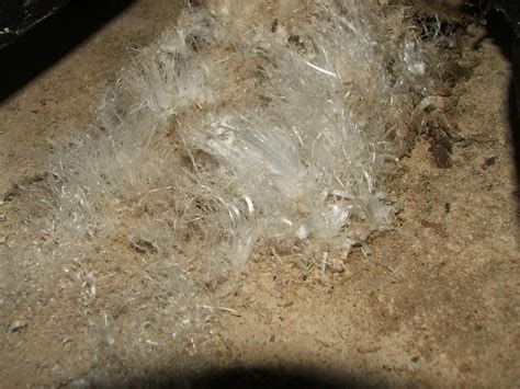 We did not find results for: What is Efflorescence. - Charles Buell Inspections Inc.