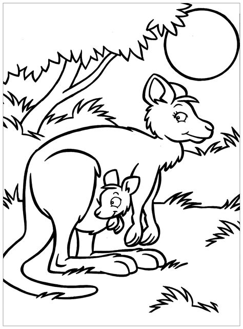 Free Coloring Page Kangaroo - 182+ SVG PNG EPS DXF File