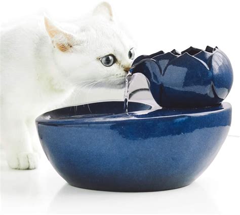 Top 10 Cat Water Bowls Animals Mania