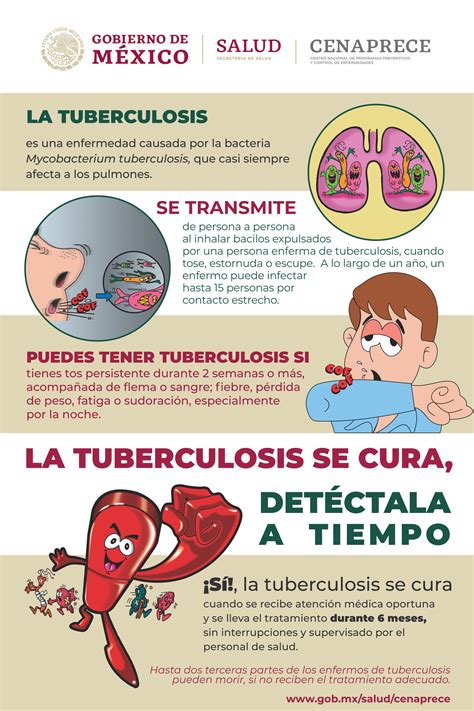 Causas Y Factores De Riesgo De La Tuberculosis Enfermedades Hot Sex Picture