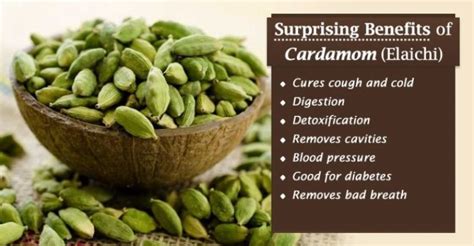 11 Incredible Health Benefits Of Cardamom My Health Only