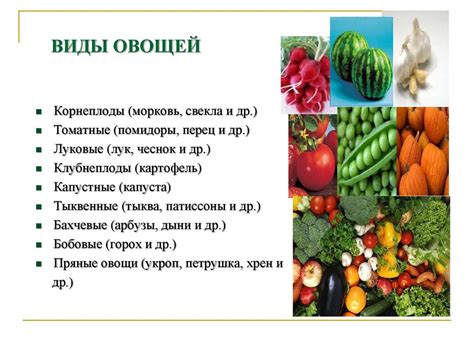 Овощи и фрукты, виды, гигиеническая характеристика, значение в питании ...